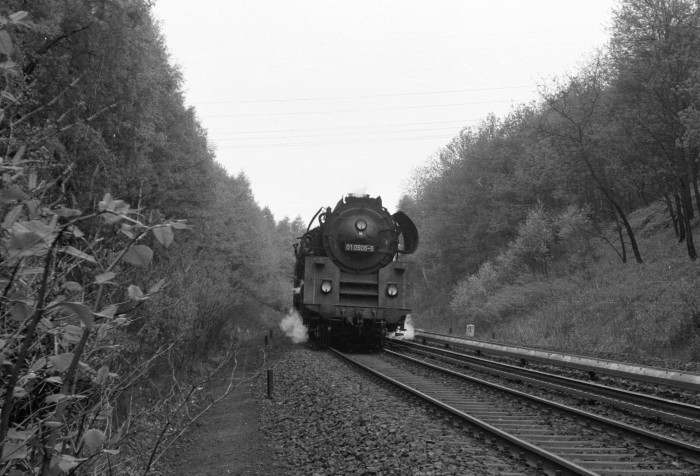 01 0505 im Krähenwald vor Reinbek, Mai 1973