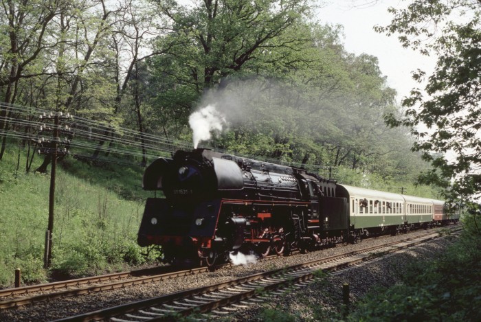 01 531 mit D 456 bei Demitz-Thumitz, am 26.05.1995