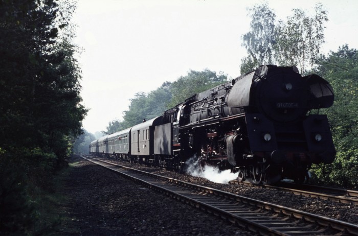 01 0505 im Grunewald bei Berlin, 30.09.1975