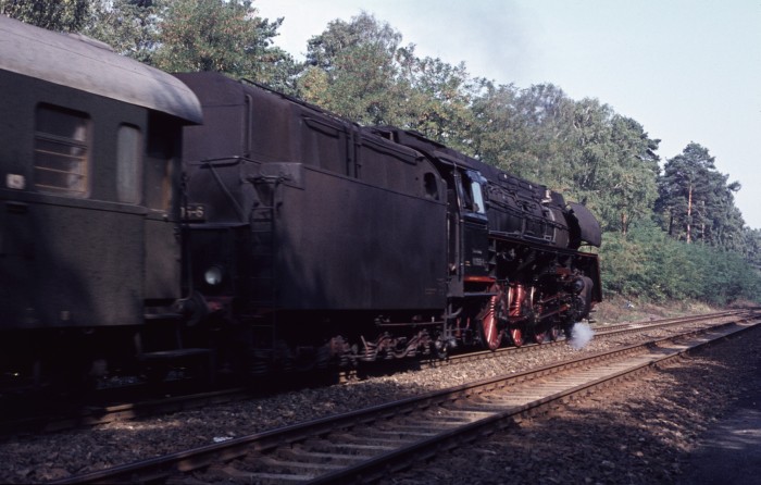 01 0505 im Grunewald bei Berlin, 30.09.1975