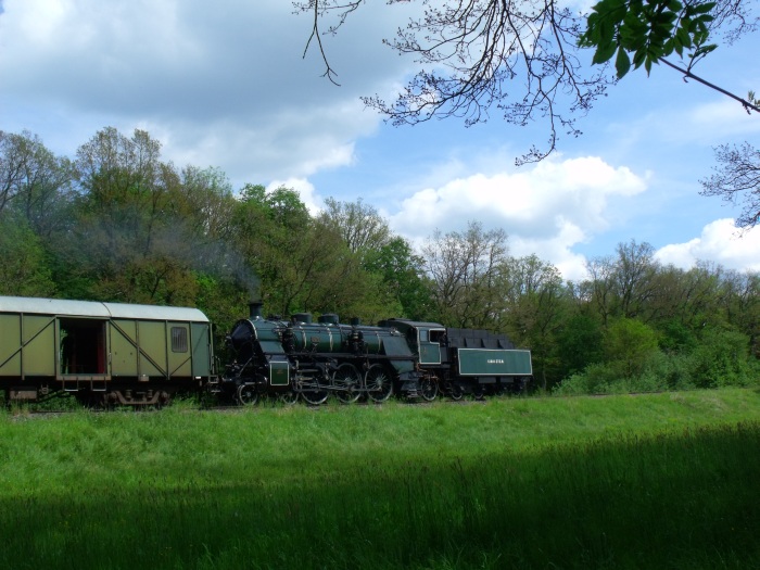 3673 Tv mit Zug BYB 79647 Gunzenhausen→Nördlingen südlich von Wassertrüdingen, um 15:21h am 01.06.2019