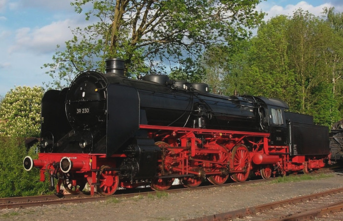 39 230 im Außengelände des DDM in Neuenmarkt-Wirsberg am im Mai 2010