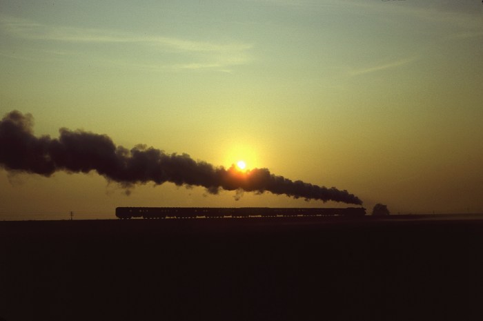 41 1137 mit P 8432 hinter Vahldorf, 29.09.1982