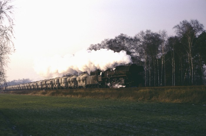 41 1025 mit Silowagenzug bei Lenz, 02.12.1982
