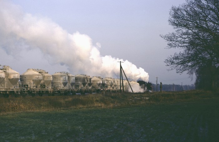 41 1025 mit Silowagenzug bei Lenz, 02.12.1982