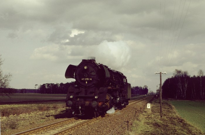 41 1231 Lz bei Lenz Richtung Oebisfelde, 29.03.1983