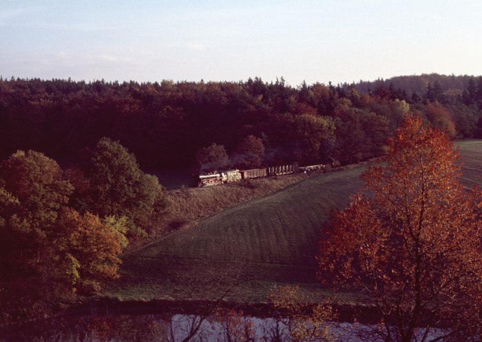 44 0093 mit Güterzug nach Eisenach vor Förtha talfahrend, am 29.10.1999