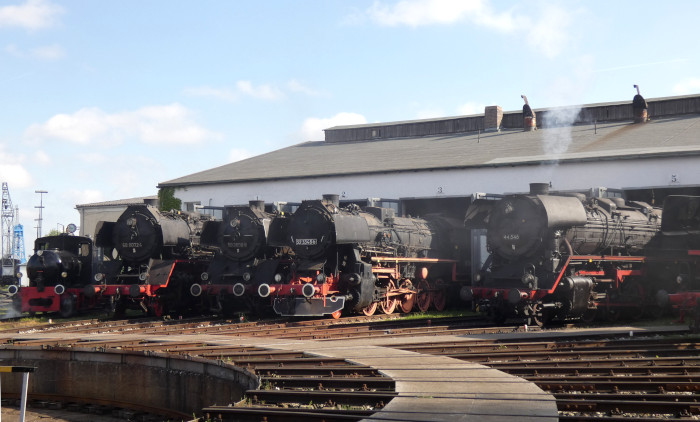 44 546 neben 52 3548, 50 3600 und 50 0072 sowie weiteren Lokomotiven ausgestellt im Bw Nördlingen, fotografiert um 8:53h am 20.05.2023
