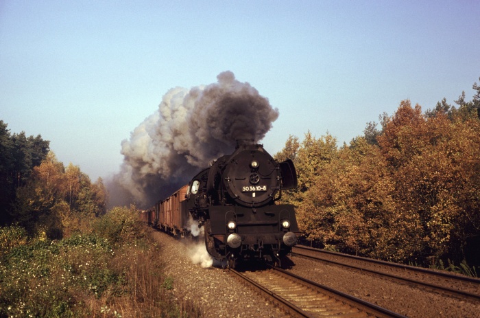 50 3610 mit Dg 53803 am Dallminer Bahnübergang vor Karstädt, 31.10.1984