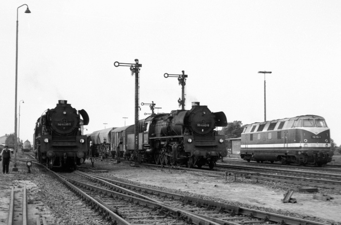50 4038 und 50 4082 neben 118 116 in Büchen, Juli 1974