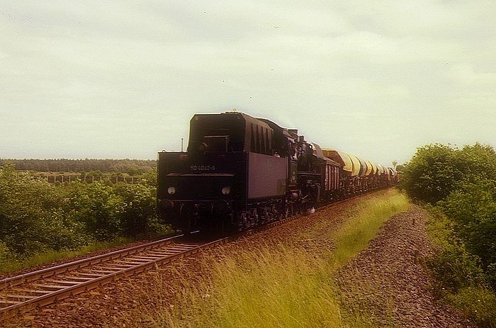 50 4082 Tv mit Güterzug in der Grenze, am 14.06.1975