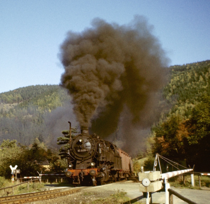 95 0009 Güterzug Richtung Probstzella an der Einfahrt von Hockeroda, am 12.10.1976