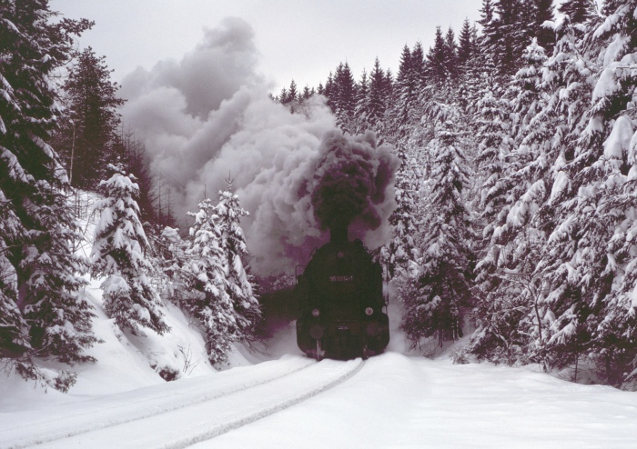 95 0014 mit P 18003 im Finstern Grund -Einschnitt, am 02.01.1980