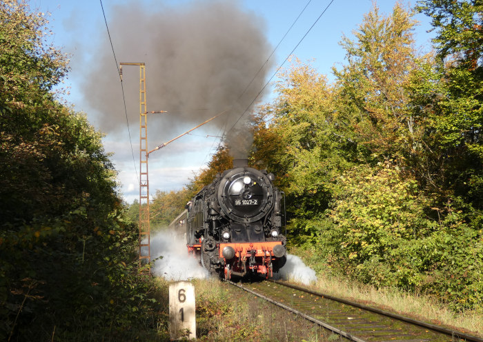 95 027 mit Sonderzug auf der Rübelandbahn von Blankenburg kommend, im Wald in der Steigung oberhalb vom Spitzkehrenbahnhof Michaelstein, um 13:44h am 21.10.2023