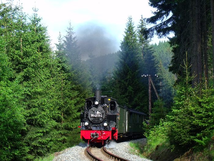 99 4511 mit Zug 57 direkt vor der engen Kurve im Tal weit hinter Schmalzgrube bei km 20,2, um 18:01h am 26.05.2012