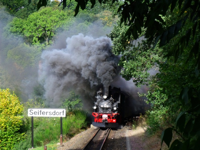 99 1608 mit P 5300 nach Dippoldiswalde an der Ausfahrt von Seifersdorf, um 10:00h am 26.09.2019