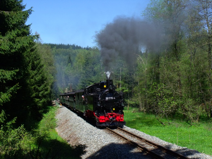 99 1715 mit Zug 13 hinter der Schwarzwasser-Brücke hinterm Loreleifelsen vor Schlössel, um 13:34h am 19.05.2013
