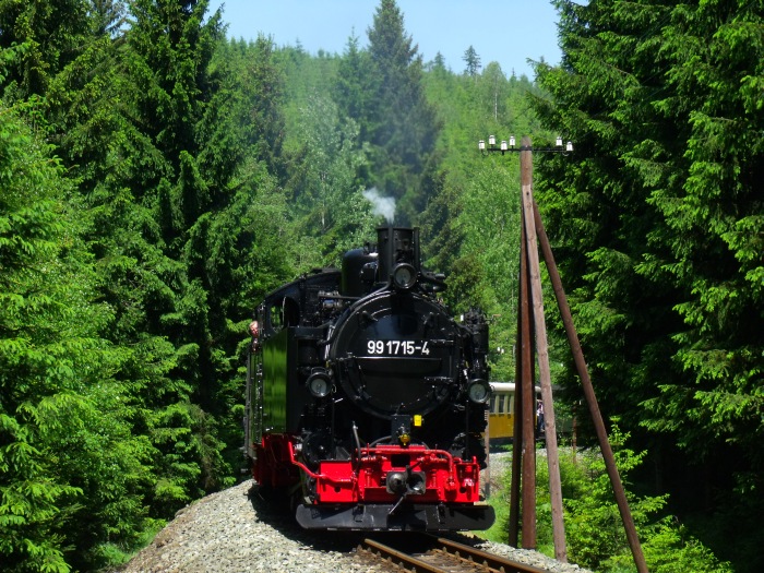 99 1715 mit Zug 13 in der Kurve direkt vorm Loreleifelsen und der Schwarzwasserbrücke, um 13:34h am 08.06.2014