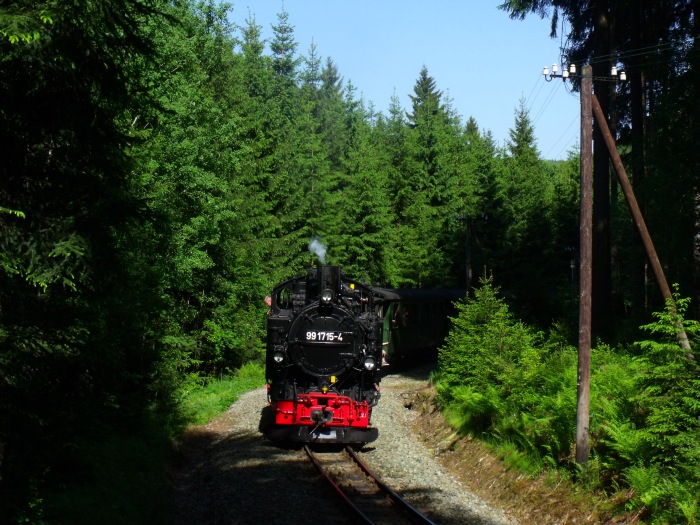 99 1715 Zug 27 nach Jöhstadt (Preßnitztalbahn) in der Kurve im Schwarzwassertal zwischen Schmalzgrube und Schlössel bei Strecken-km 20,2, um 16:30h am 08.06.2014