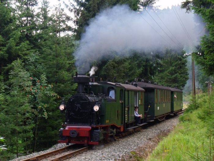 No 54 mit Zug 13 aufwärts fahrend, kurz vor dem kleinen Einschnitt in der engen Kurve im Schwarzwasser-Tal zwischen Schmalzgrube und Schlössel,um 13:31 am 28.08.2011