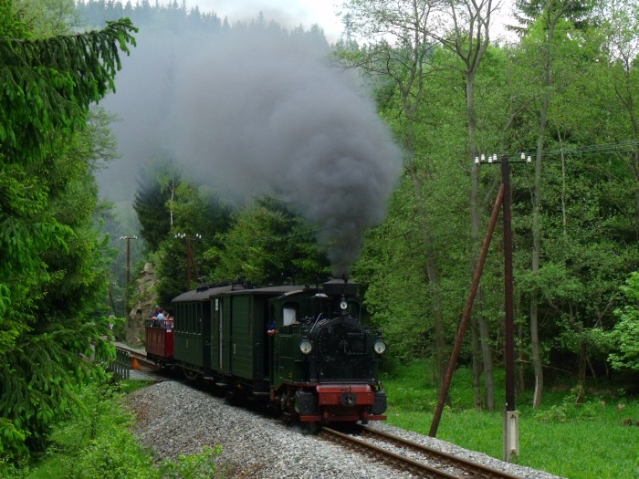 No 54 mit Zug 49 auf der Preßnitztalbahn, hinter der Schwarzwasser -Brücke vor der Einfahrt von Schlössel, um 14:07h am 27.05.2012
