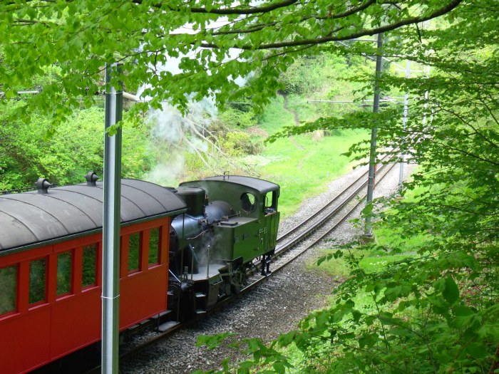 RHB 3 schiebt 3-Wagen-Zug nach Heiden, im Wald unterhalb von Wienacht-Tobel, um 10:56h am 04.05.2014