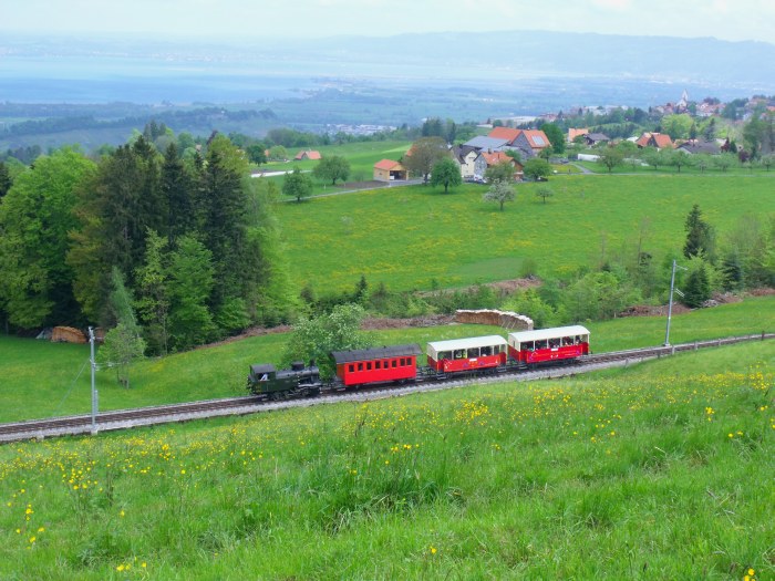 Lok Rosa RHB 3 auf Talfahrt unterhalb von Heiden, um 13:07h am 04.05.2014