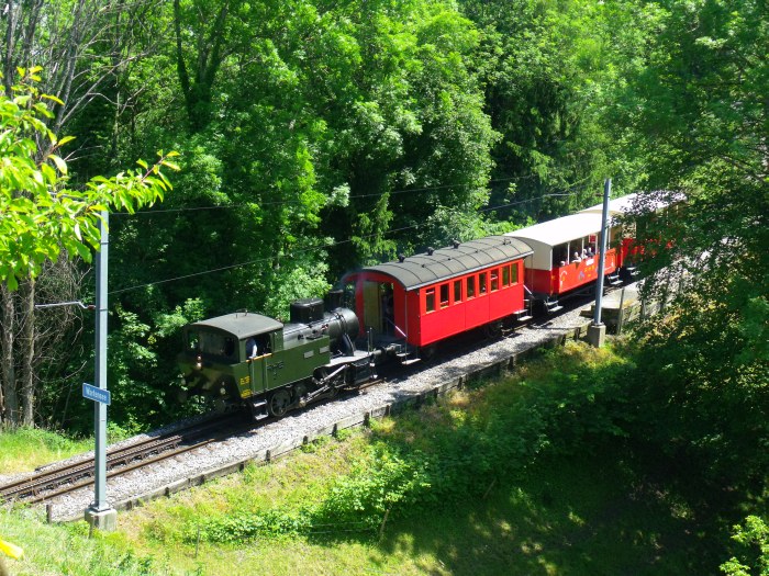 Lok Rosa RHB 3 Tv auf Talfahrt direkt am Haltepunkt Wartensee (siehe links das Schild), fotografiert vom Gelände des netten Gartenrestaurants Windegg aus, um 13:21h am 01.06.2014