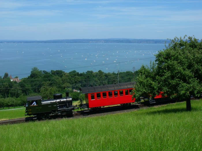 RHB 3 Rosa Tv auf Talfahrt mit Zug zurück von Heiden, oberhalb von Rorschach, um 13:23h am 06.07.2014