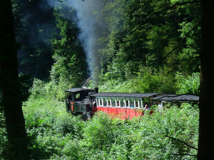 Lok 3 der AsB schiebt den Zug etwa eine Stunde zuvor hoch, nämlich um 14:13h, fotografiert bei Strecken -Km 3,0, am 03.08.2017