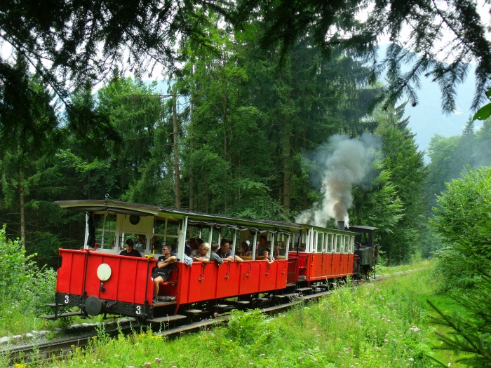 Lok 3 der AsB schiebt wie üblich lautstark 2 Wagen von Jenbach hoch, mitten im Wald zwischen Burgeck und Eben bei Strecken- Km 3,0, um 14:13h am 03.08.2017