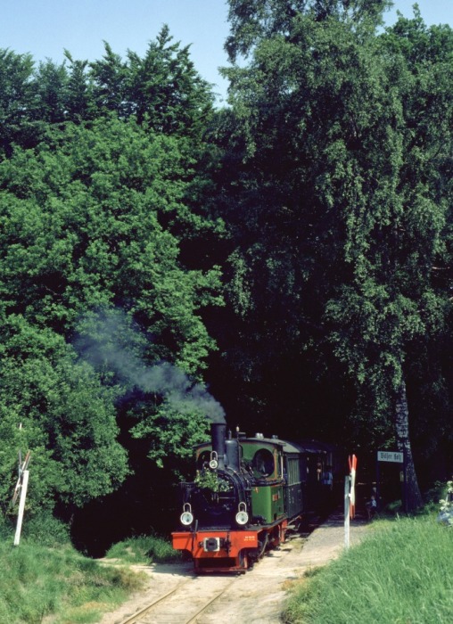 SPREEWALD am Haltepunkt Vilser Holz, am 03.06.1979