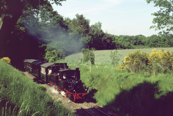 FRANZBURG + HERMANN Durchfahrt am Haltepunkt Vilser Holz, um 16:27h am 29.05.2004