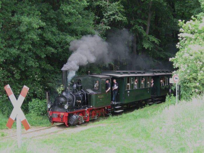 FRANZBURG mit Zug 441 einrollend Vilser Holz, am 27.05.2007