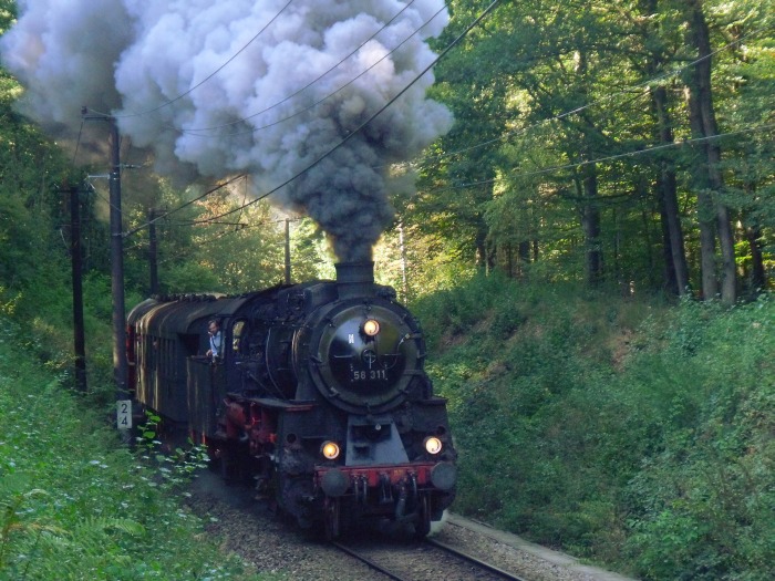 58 311 UEF-Zug von Ettlingen nach Ittersbach, kurz vorm Bf Reichenbach (bei km 2,4), um 11:20h am 25.09.2016