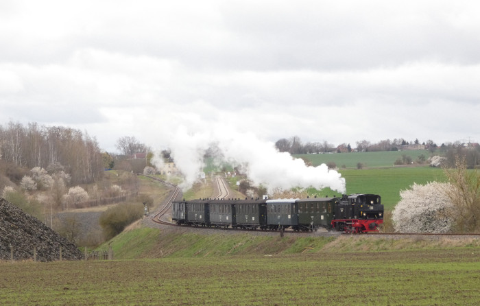 Lok 11  mit Infozug von Benndorf nach Hettstedt-Kupferkammerhütte in der kurzen Steigung nördlich der Niewandtschachthalde, um 12:31h am 01.04.2023