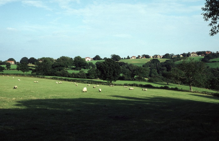 Blick auf Goathland von Westen aus