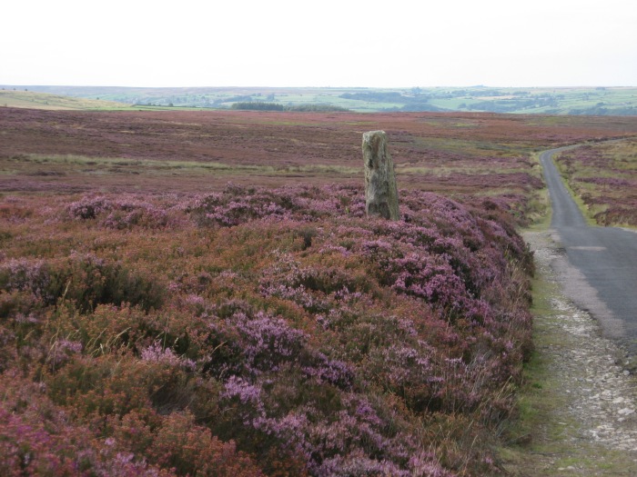 Heide-Hochflächen-Landstraße zwischen Esk Valley und Cropton Forest