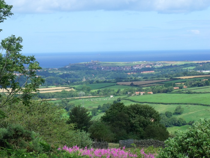 von einem Parkplatz an der A169 (Malton-Whitby) bei Blue Bank von weit entfernt kann man die Abbey Ruine 
	und die See so betrachten, Foto am 22.08.2012.