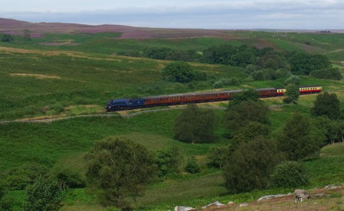 60007 mit erstem Zug des Tages von Grosmont nach Pickering, hinter Moorgates kurv vor Goathland summit, um 9:59h, 18.08.2012