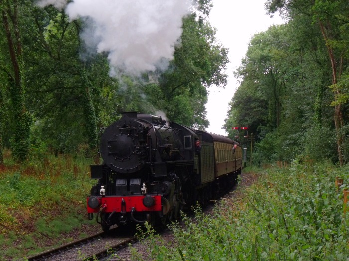 6046 mit Zug nach Mi‍n‍ehead im kleinen Wald hinter der Ausfahrt von Bishops Lydeard, um 12:17h am 29.07.2018