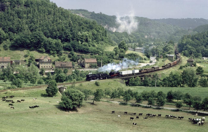 50 3551 mit Gz Meißen->Nossen bei Garsebach, 15.06.1982 50 3551 mit Gz Meißen->Nossen bei Garsebach, 15.06.1982