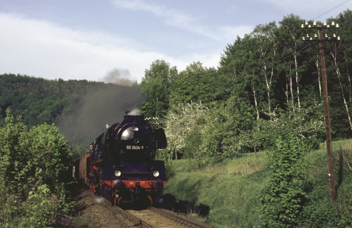 50 3604 mit Ng 64345 bei Hennersdorf, 16.05.1983 50 3604 mit Ng 64345 bei Hennersdorf, 16.05.1983