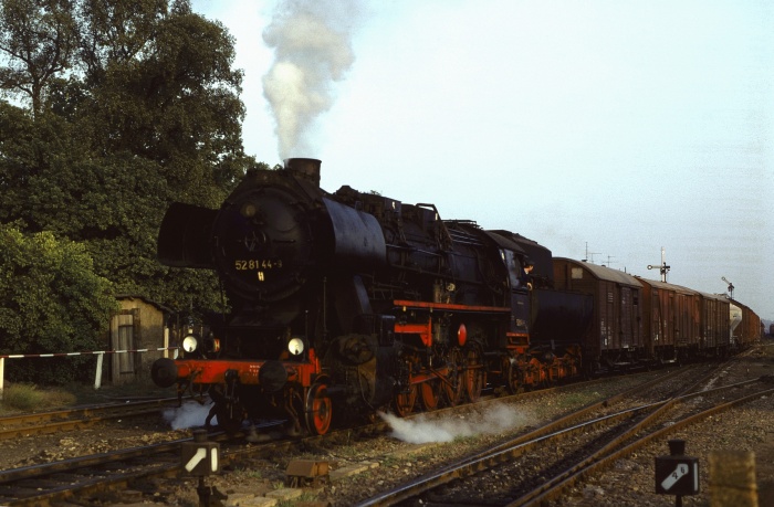 52 8144 mit Güterzug Ausfahrt Haldensleben, 14.09.1982