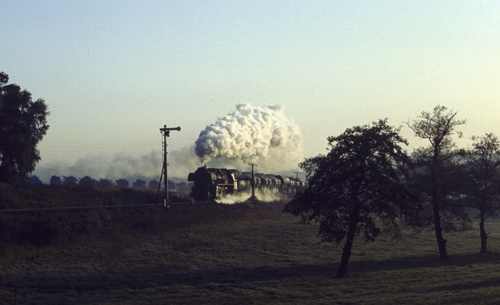 52 8150 mit Güterzug nach Weferlingen bei Süplingen, 29.09.1982