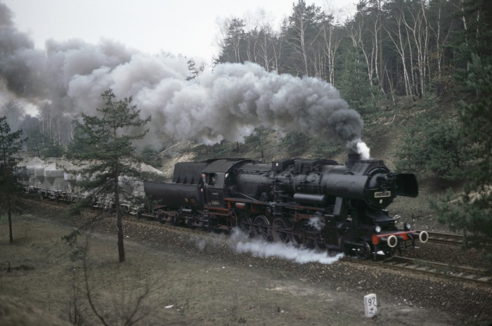 52 8019 mit Güterzug aufwärts im Wald vor Dresden-Klotzsche, 12.03.1977