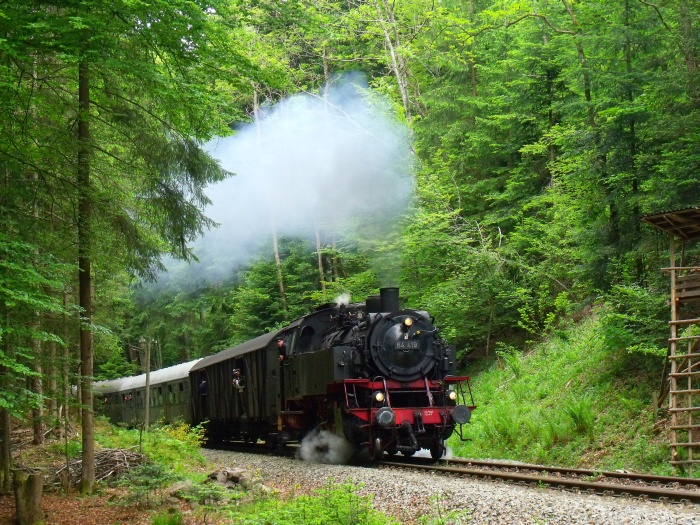 64 419 allein mit dem Zug nach Welzheim im Wald oberhalb von Laufenmühle (km 18,2), am Pfingstmontag auch mit sehr gutem Sound, um 10:20h am 25.05.2015