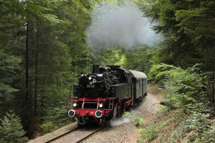 64 419 vorm Zug nach Welzheim hinter Laufenmühle im Wald (km 17,7), um 11:15h am 06.09.2020
