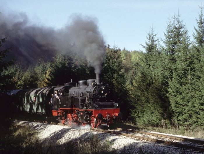 75 1118 im Wald hinter Amstetten, am 08.10.1995