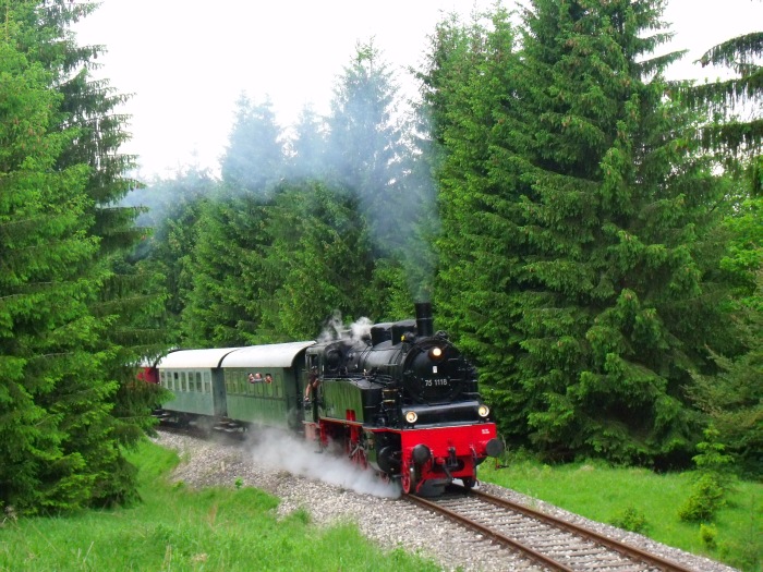 75v1118 mit Zug nach Gerstetten, in der unteren Steigung am Benzwang hinter Amstetten im Wald, um 9:43h am 03.06.2012